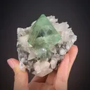 Fluorite on Calcite - image 1