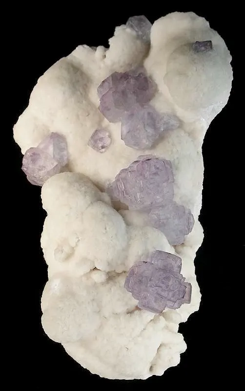 Fluorite on Calcite image