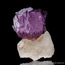 Fluorite on Calcite - image 5