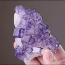 Fluorite on Calcite - image 2