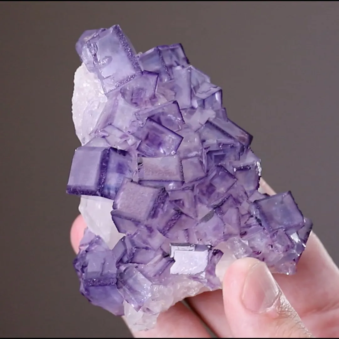 Fluorite on Calcite - image 2