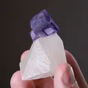 Fluorite on Calcite - image 2