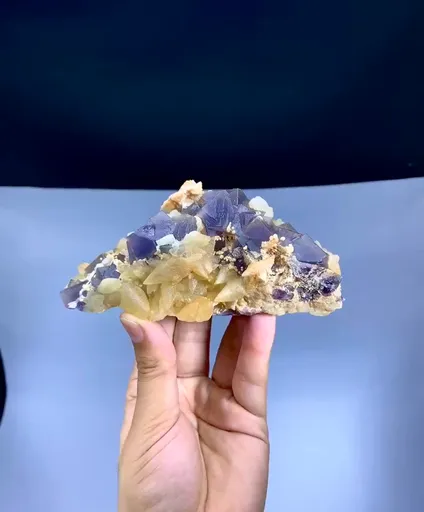 specimen video