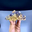 specimen video