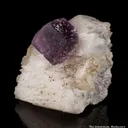 Fluorite on Calcite with Pyrite - image 3