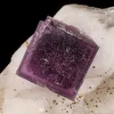 Fluorite on Calcite with Pyrite - image 1