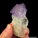 Fluorite on Celestine - image 4