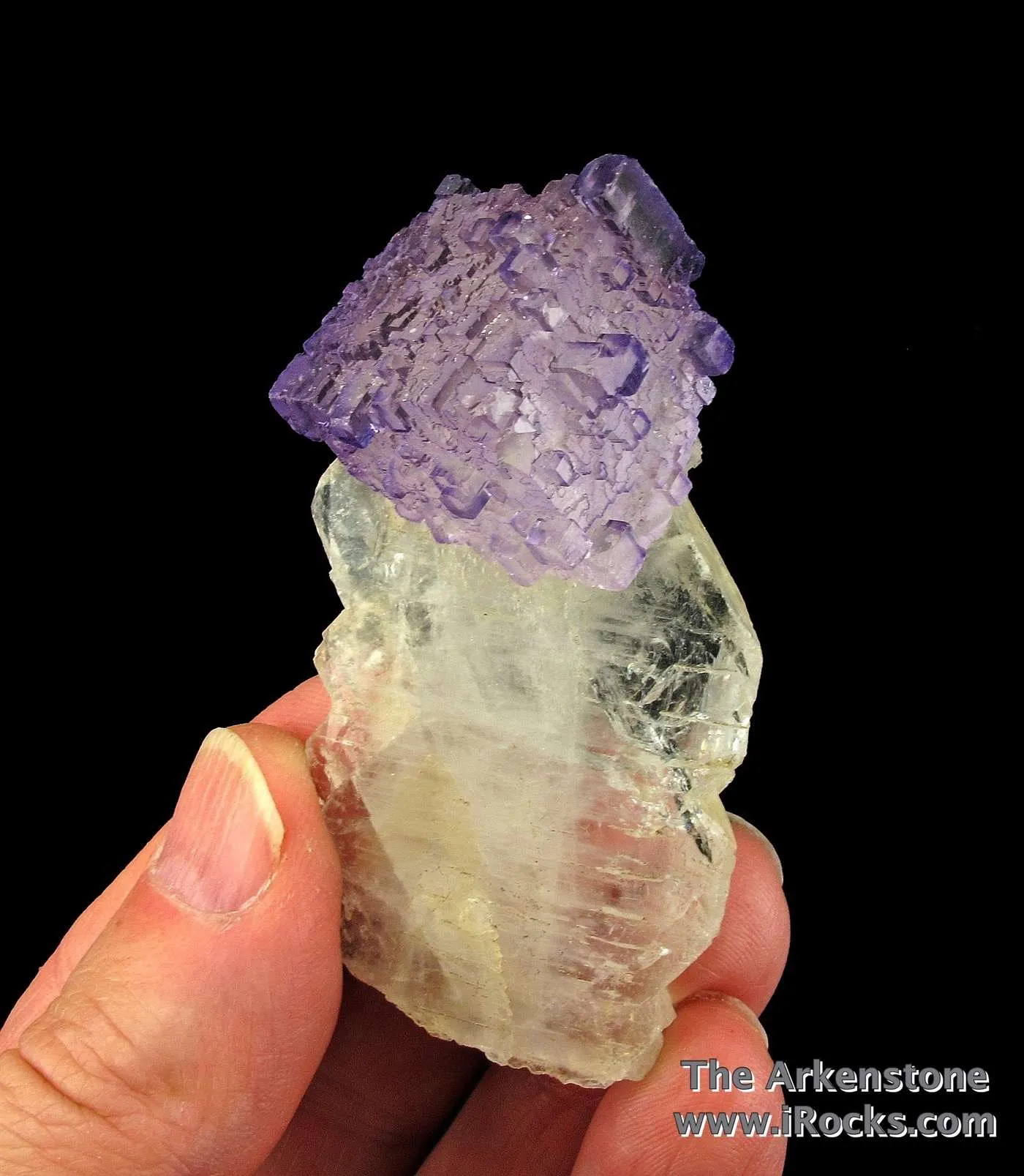 Fluorite on Celestine - image 4