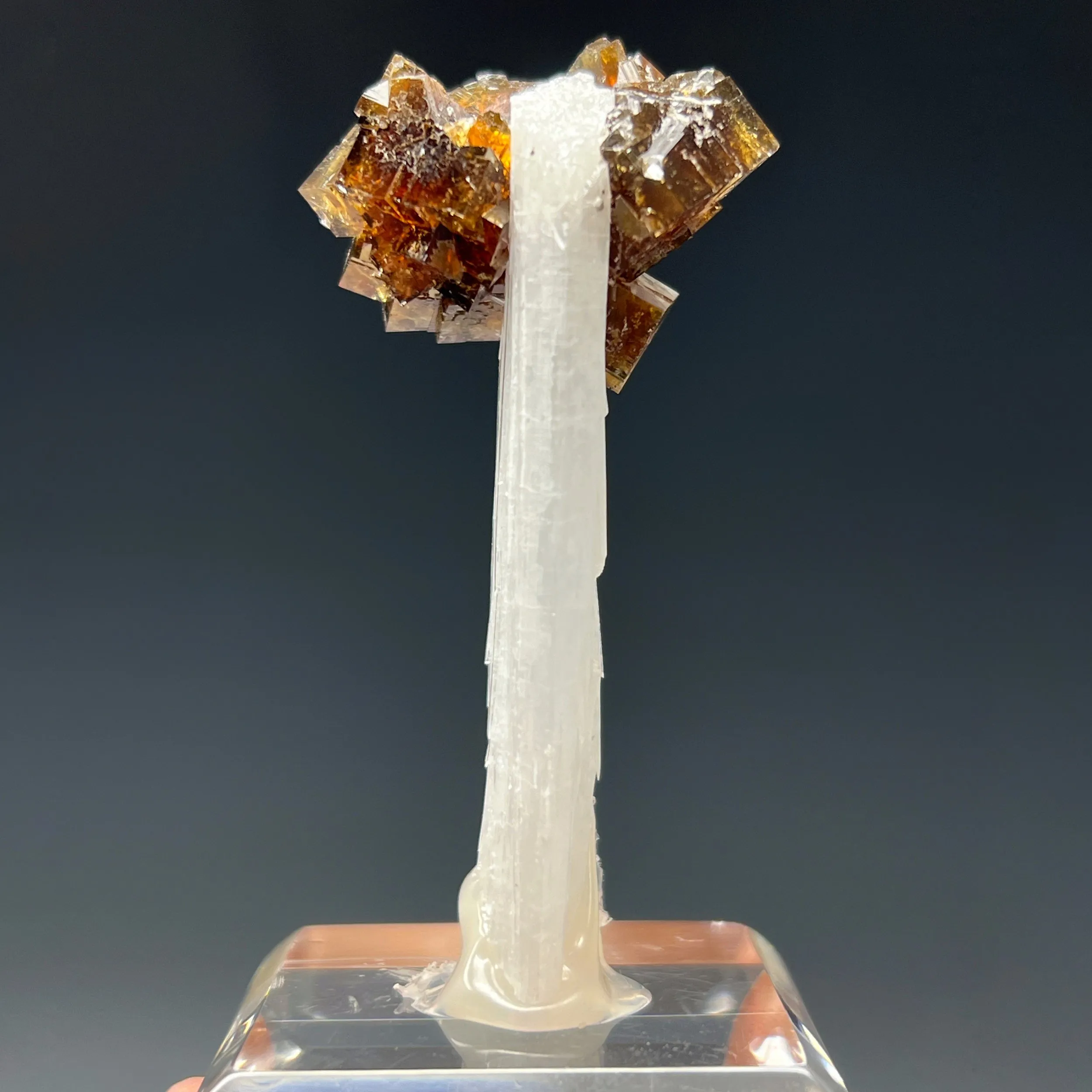 Fluorite on Celestite - image 4