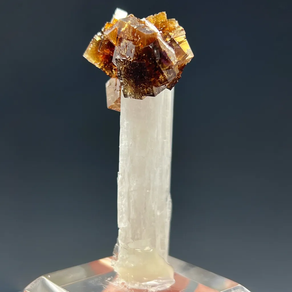 Fluorite on Celestite - image 3