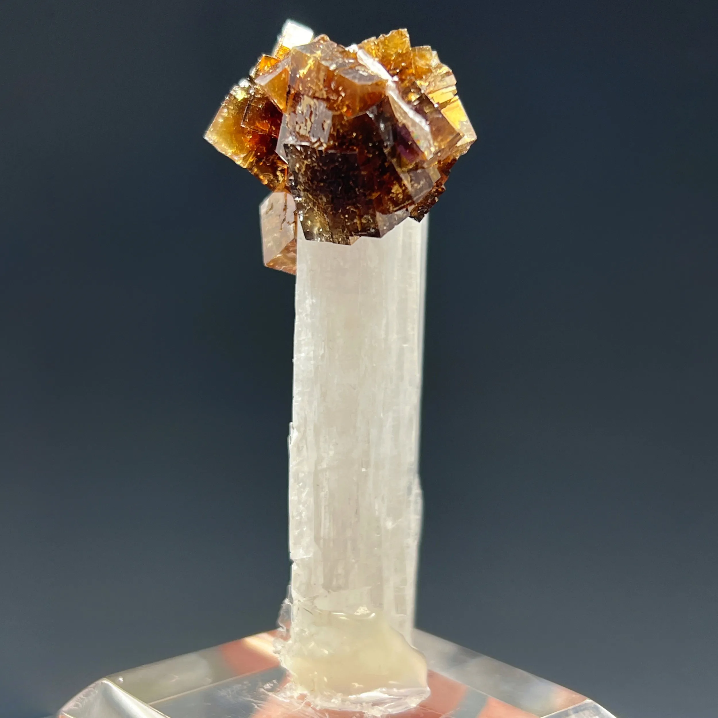 Fluorite on Celestite - image 3