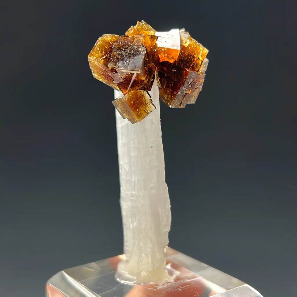 Fluorite on Celestite - image 2