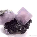 Fluorite on Chalcopyrite - image 1