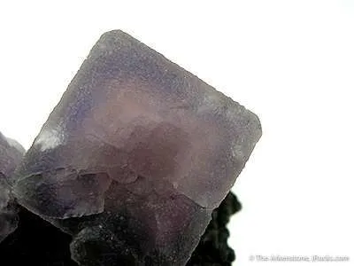 Fluorite on Chalcopyrite - image 2