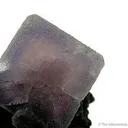 Fluorite on Chalcopyrite - image 2