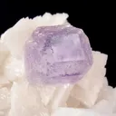 Fluorite on Dolomite - image 2