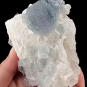 Fluorite on Dolomite - image 5