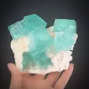 Fluorite on Dolomite - image 1