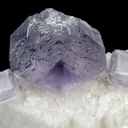 Fluorite on Dolomite Floater - image 2