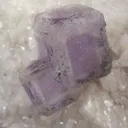 Fluorite on Dolomite Floater - image 3