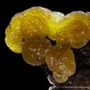 Fluorite on Fluorite - image 6