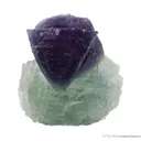 Fluorite on Fluorite - image 4