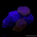 Fluorite on Fluorite - image 4