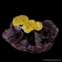 Fluorite on Fluorite - image 2