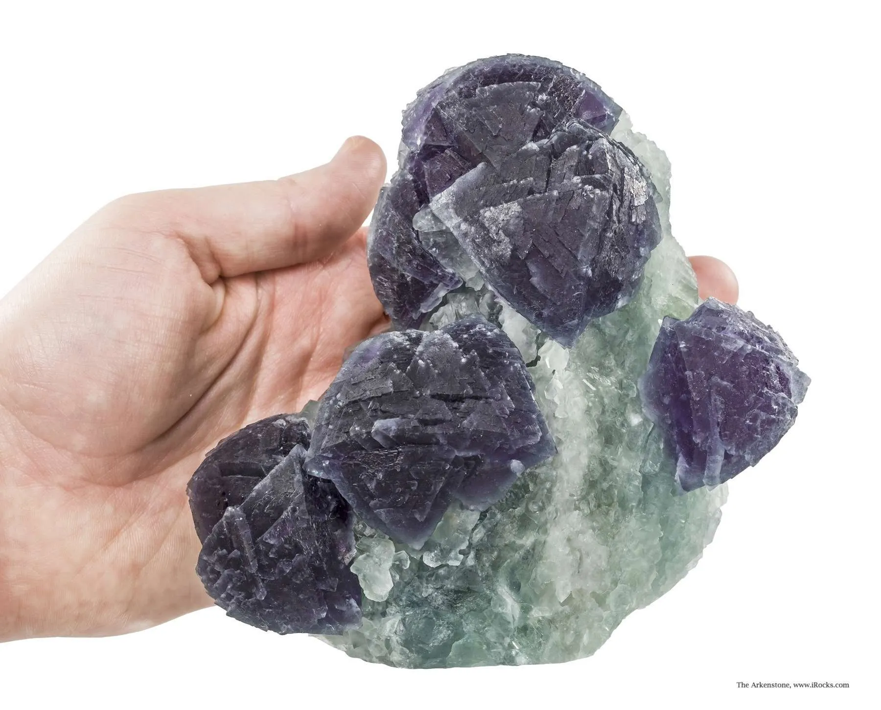 Fluorite on Fluorite - image 5