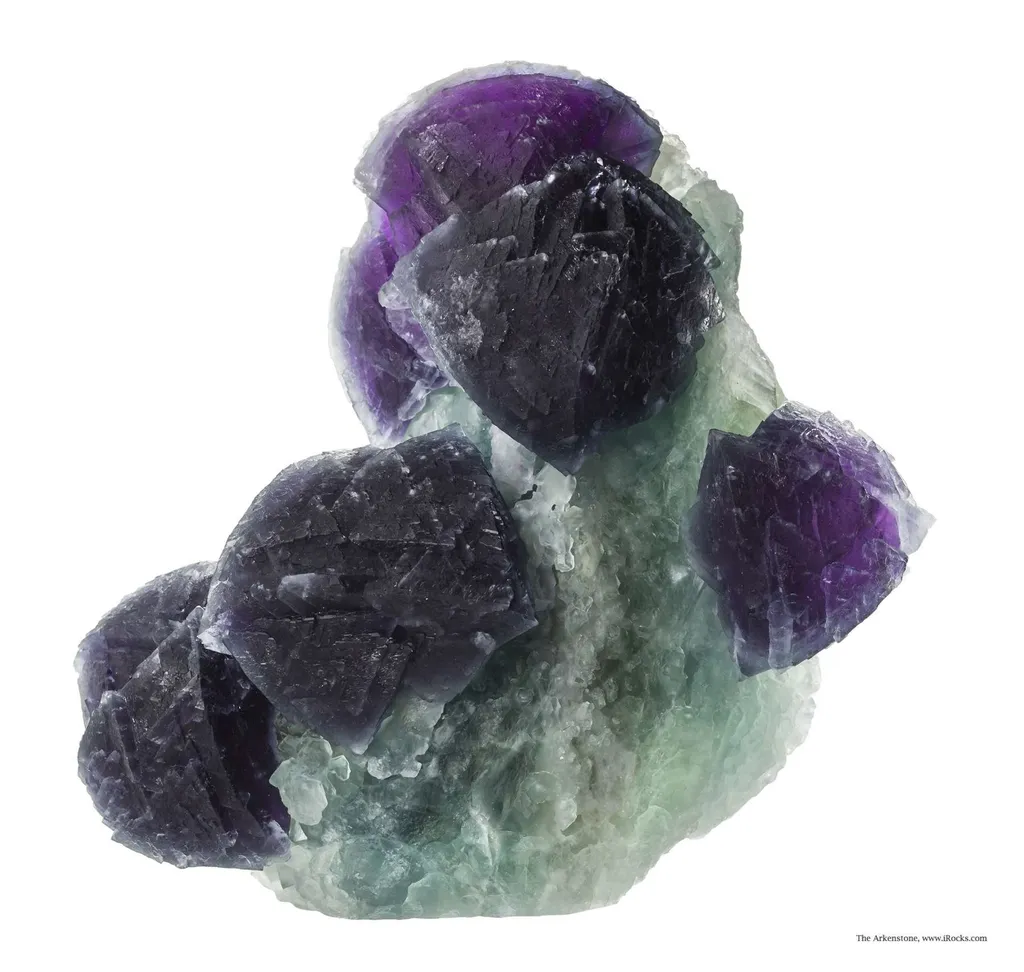 Fluorite on Fluorite image