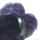 Fluorite on Fluorite - image 5