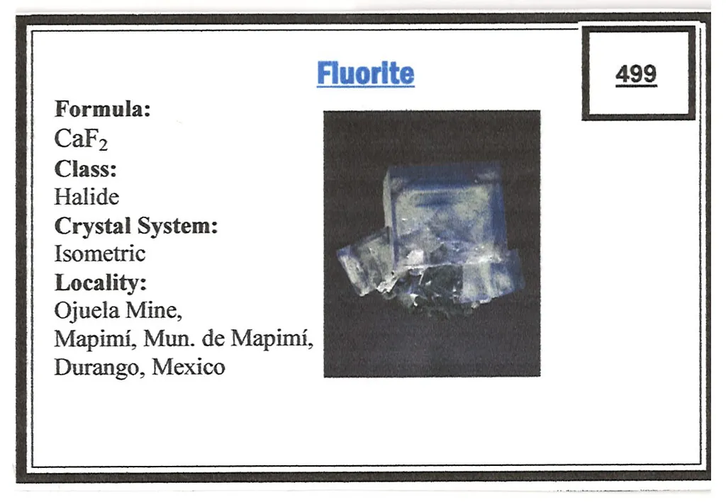 Fluorite on Galena - image 6