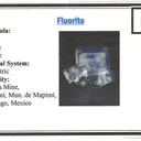 Fluorite on Galena - image 6