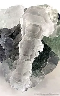 Fluorite on Galena - image 2
