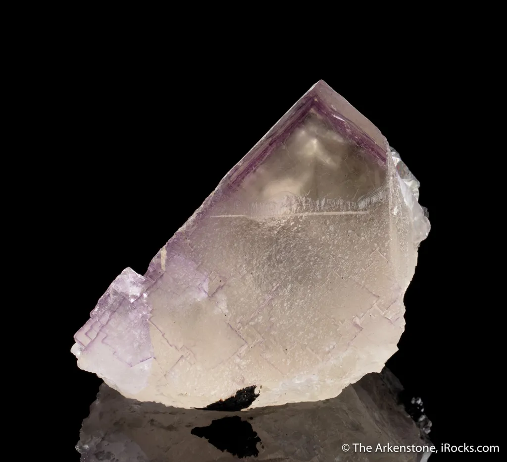 Fluorite on Galena image