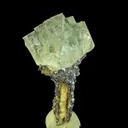 Fluorite on Galena - image 5