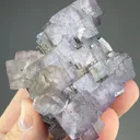 Fluorite on Galena - image 2