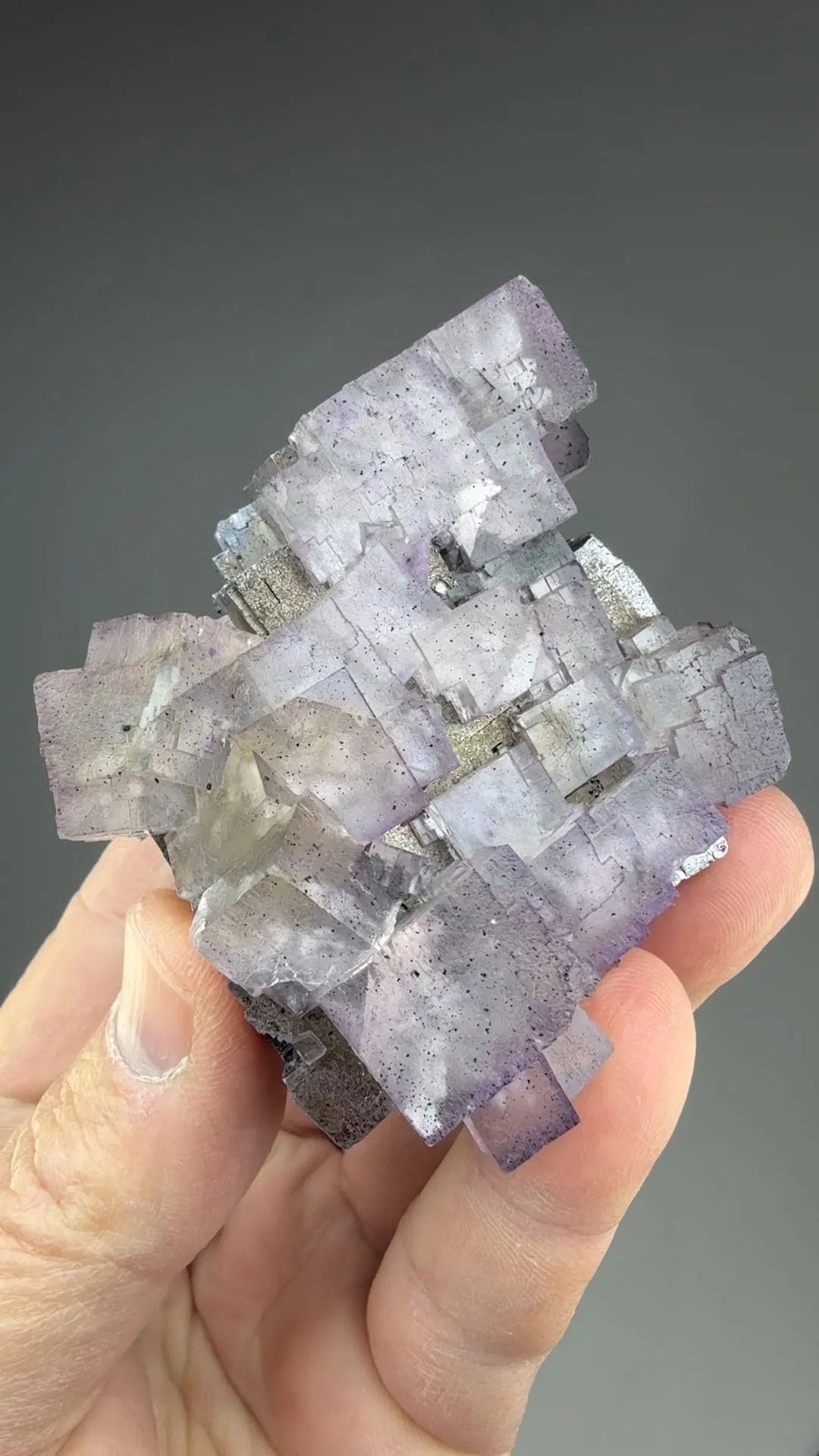 Fluorite on Galena - image 2