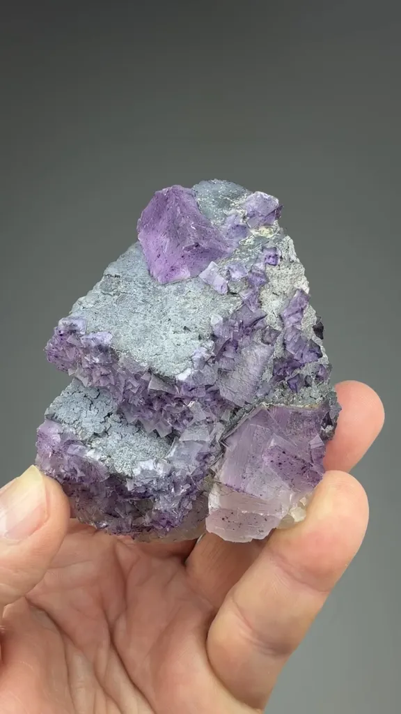 Fluorite on Galena image