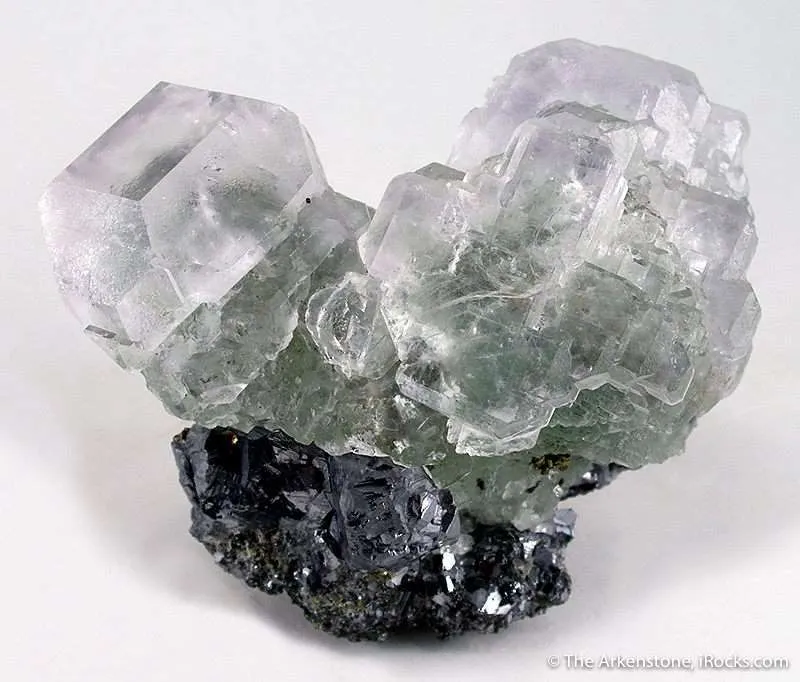 Fluorite on Galena image
