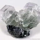Fluorite on Galena - image 1