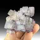 Fluorite on Galena - image 1