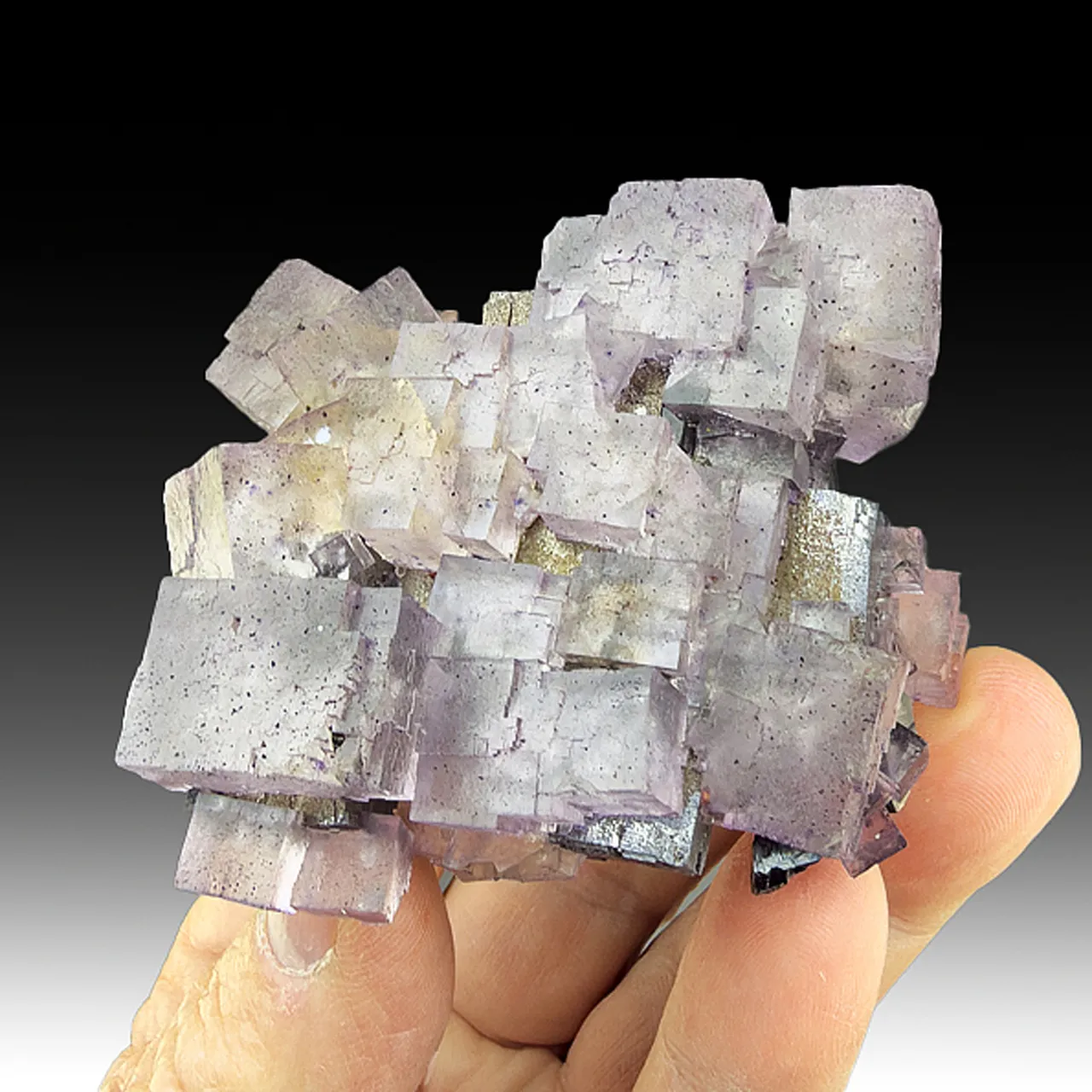 Fluorite on Galena - image 1