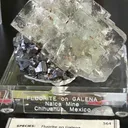 Fluorite on Galena Naica - image 3
