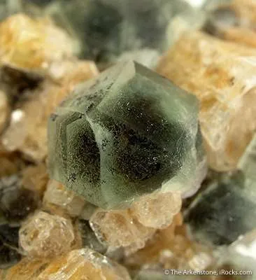 Fluorite on Goshenite Beryl - image 2