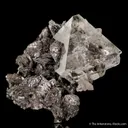 Fluorite on Lollingite - image 2