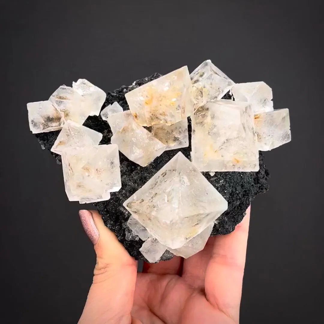 Fluorite on Magnetite - image 1