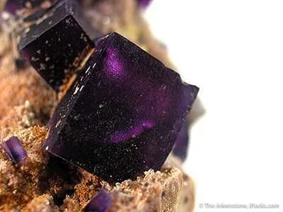 Fluorite on Matrix - image 3
