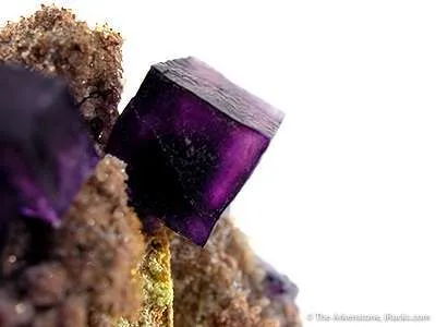Fluorite on Matrix - image 2