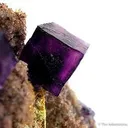 Fluorite on Matrix - image 2